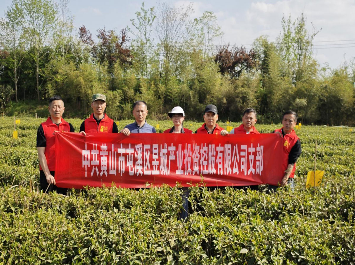 昱城產(chǎn)投公司黨支部開展“茶香潤初心，黨旗映茶園”主題黨日活動