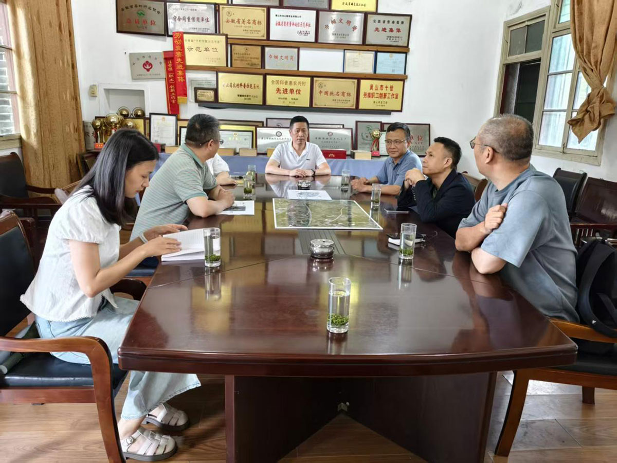 江蘇外聯(lián)采考察團(tuán)到實(shí)驗(yàn)茶場(chǎng)考察，共商茶產(chǎn)業(yè)合作新藍(lán)圖